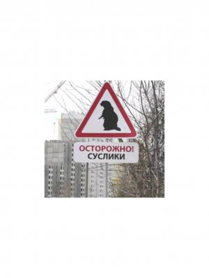 кушаем
