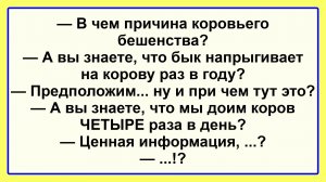 В чем причина коровьего бешенства? Подборка Остреньких, Жизненных Анекдотов! Юмор! Смех! Позитив!