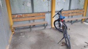 Градусник звенит