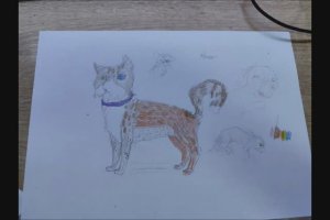 |Я УМЕЮ (нет) РИСОВАТЬ В ТРАДИШКЕ | На конкурс Астры