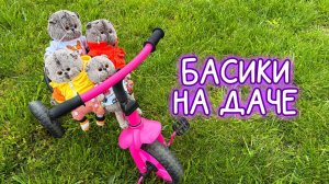 🐱🌳🍗БАСИКИ НА ДАЧЕ С ДРУЗЬЯМИ #Басики #волшебныебудни