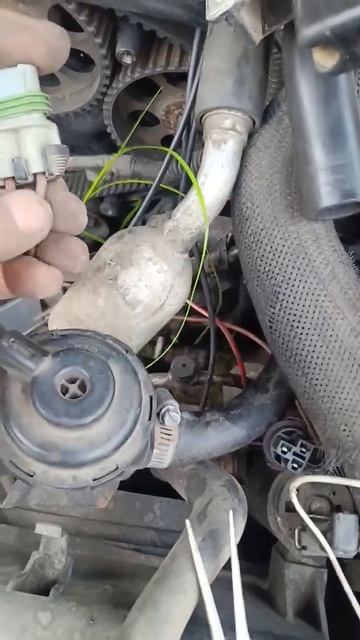 Opel Omega B, мы в Макс