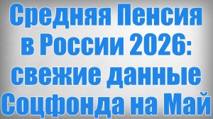 Средняя Пенсия в России 2026 свежие данные Соцфонда на Май
