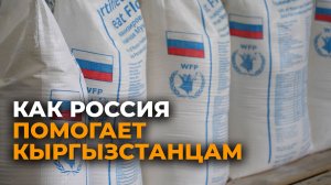 Более 18 тыс нуждающихся кыргызстанцев получили помощь от России