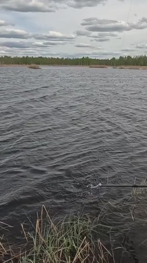 Тащи подсак что-то хорошее село!