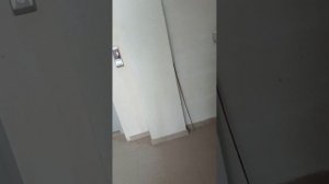 1386.mp4