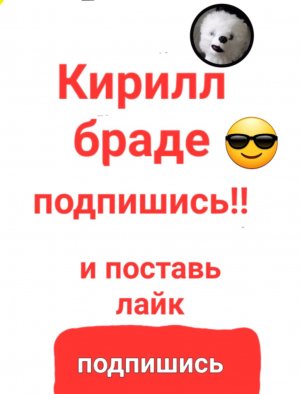 на этой трансляции я буду общаться с подписчиками.