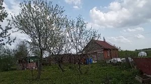 обзор в саду и в огороде