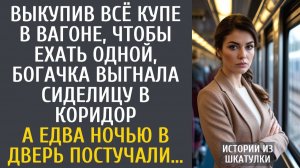 Истории из жизни Выкупив всё купе в вагоне, чтобы ехать одной, богачка выгнала сиделицу в коридор…