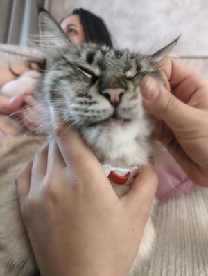 игры в роблокс