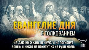 «Я даю им жизнь вечную, и не погибнут вовек; и никто не похитит их из руки Моей» / Евангелие дня