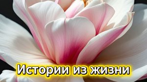 «Нет» как свобода: история о том, как найти свои границы | Рассказы из жизни