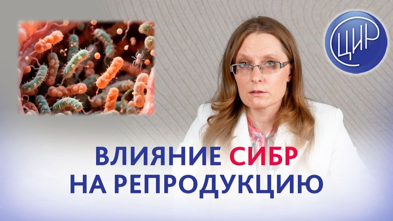 Синдром избыточного бактериального роста и его влияние на репродукцию. смотреть онлайн