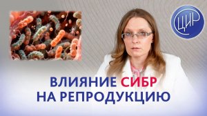 Синдром избыточного бактериального роста и его влияние на репродукцию.
