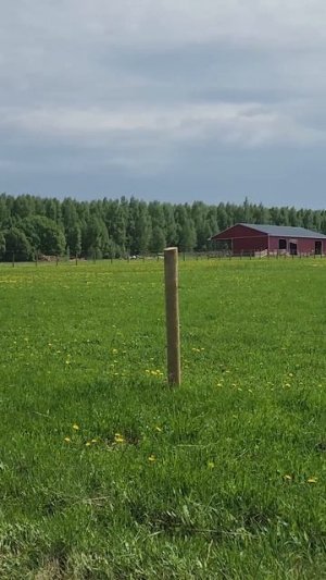 Beautiful life in the farm in Russia!