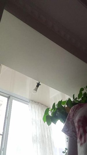 играюсь с мичем