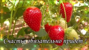 ДРУЗЬЯ МОИ !!!  С ДОБРЫМ УТРОМ И ХОРОШИМ ДНЕМ !!!
