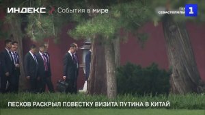 Песков раскрыл повестку визита Путина в Китай