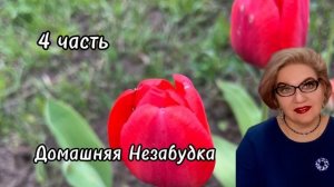 4 часть. Есть ли у кучи воспоминания❓️Она вообще жила❓️Училась❓️