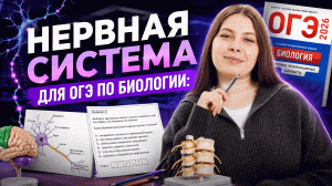 НЕРВНАЯ СИСТЕМА для ОГЭ по биологии | Подробный разбор | Кристина Мельникова | Умскул