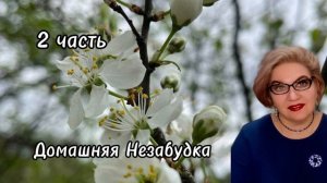 2 часть. У кого-то молочные руки, а у кого-то золотые❗️Серую безрукую надо держать в тонусе❗️