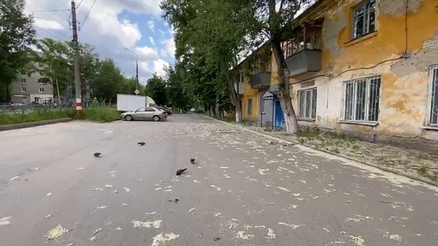 Проспект Гая
