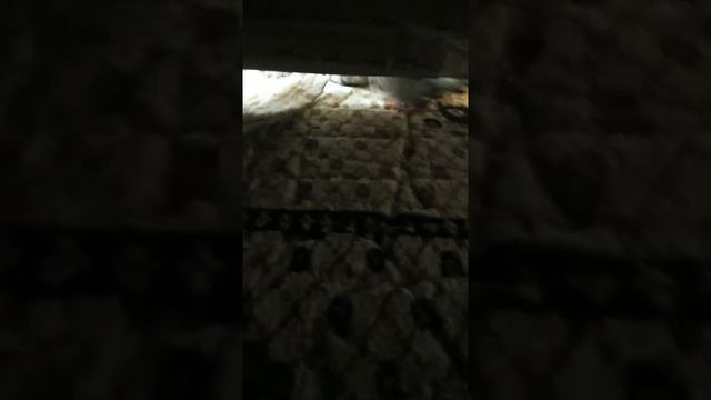 День со звёздочкой😍😍😍😍😍🥰🥰🥰🥰🥰🥰 смотреть онлайн