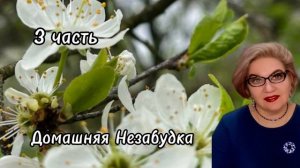 3 часть. Борьба Гаврилы с комментаторами. И кто САМОУТВЕРЖДАЕТСЯ❓️