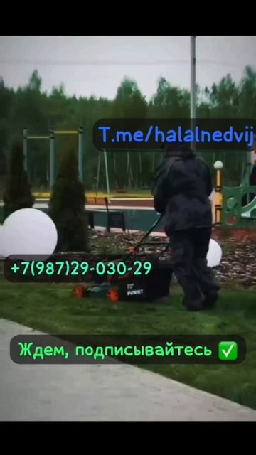 T.me/halalnedvij