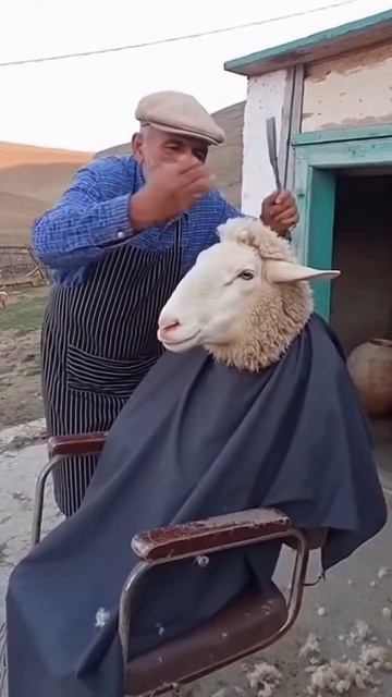 Нейросеть видео