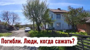 Болгария. Погибли и выжили в суровых условиях холодной зимы!  Мои деревья, ёлки Победа над природой?