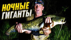 Крупный СОМ все оборвал. Но ОДНОГО я взял