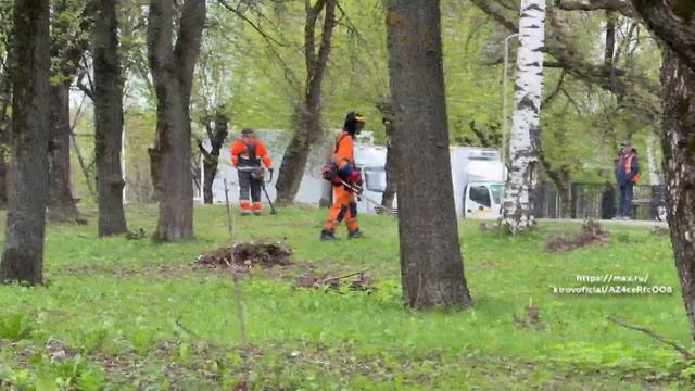 Новости Кирова 13.05.26
