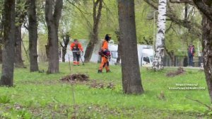 Новости Кирова 13.05.26
