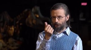Частые ошибки антропологов от окаменелостей до несуществующих видов. Дробышевский