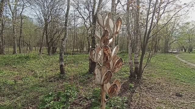 Южно-Сахалинский городской парк. 14 мая 2026 года.mp4