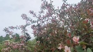**МОЯ СЕМЬЯ     МОЁ БОГАТСТВО**ПОЗДРАВЛЯЮ ВСЕХ С ТАКИМ ПРАЗДНИКОМ.ПУСТЬ ЖИВЁТ В ВАШЕМ СЕРДЦЕ ЛЮБОВЬ.
