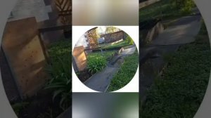доброе утро дорогие товарищи  и вся наша и не наша )))) страны