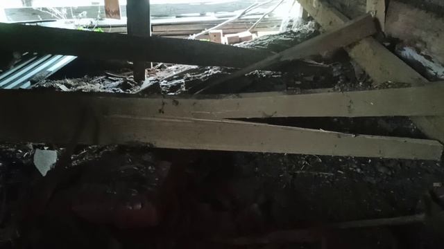 Влёсно ТВ. Пуско-наладка 04.05.26