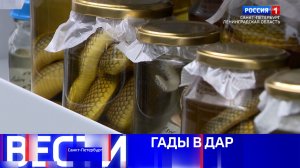 Вести Санкт-Петербург. Выпуск 11.30 от 15.05.2026