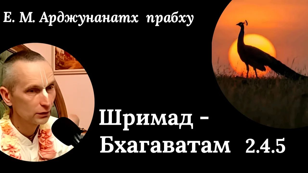 ШБ 2.4.5 / Е. М. Арджунанатх прабху