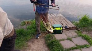 VID_20260515_210803_613