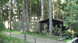 Содержание черных белок.Родились бельчата,но есть нюансы)))