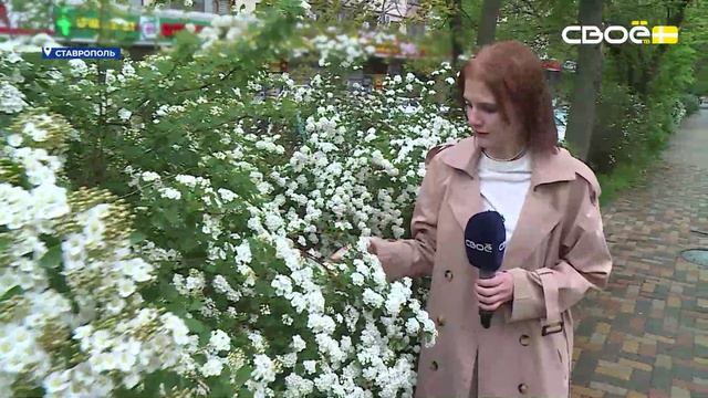 Секреты семейного счастья: что говорят ставропольчане?