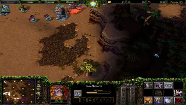 WarCraft 3 The Frozen Throne #24 1vs1 HARD Эльф и Нежить Разарённая Земля