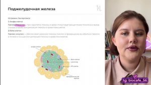 Ремка ОГЭ - Анатомия 1