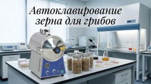 Автоклавирование перловой крупы для выращивания грибов триходермы, боверии. Зима пришла в Сибирь