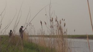 Работает только эта насадка! 🤔 Крупный карась на поплавок на дикой речке, 🎣 каждая поклёвка – лапо