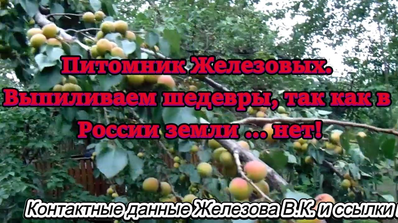 Питомник Железовых. Выпиливаем шедевры, так как в России земли ... нет!