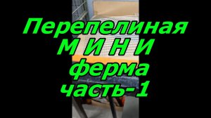 Перепелиная Мини ферма часть-1